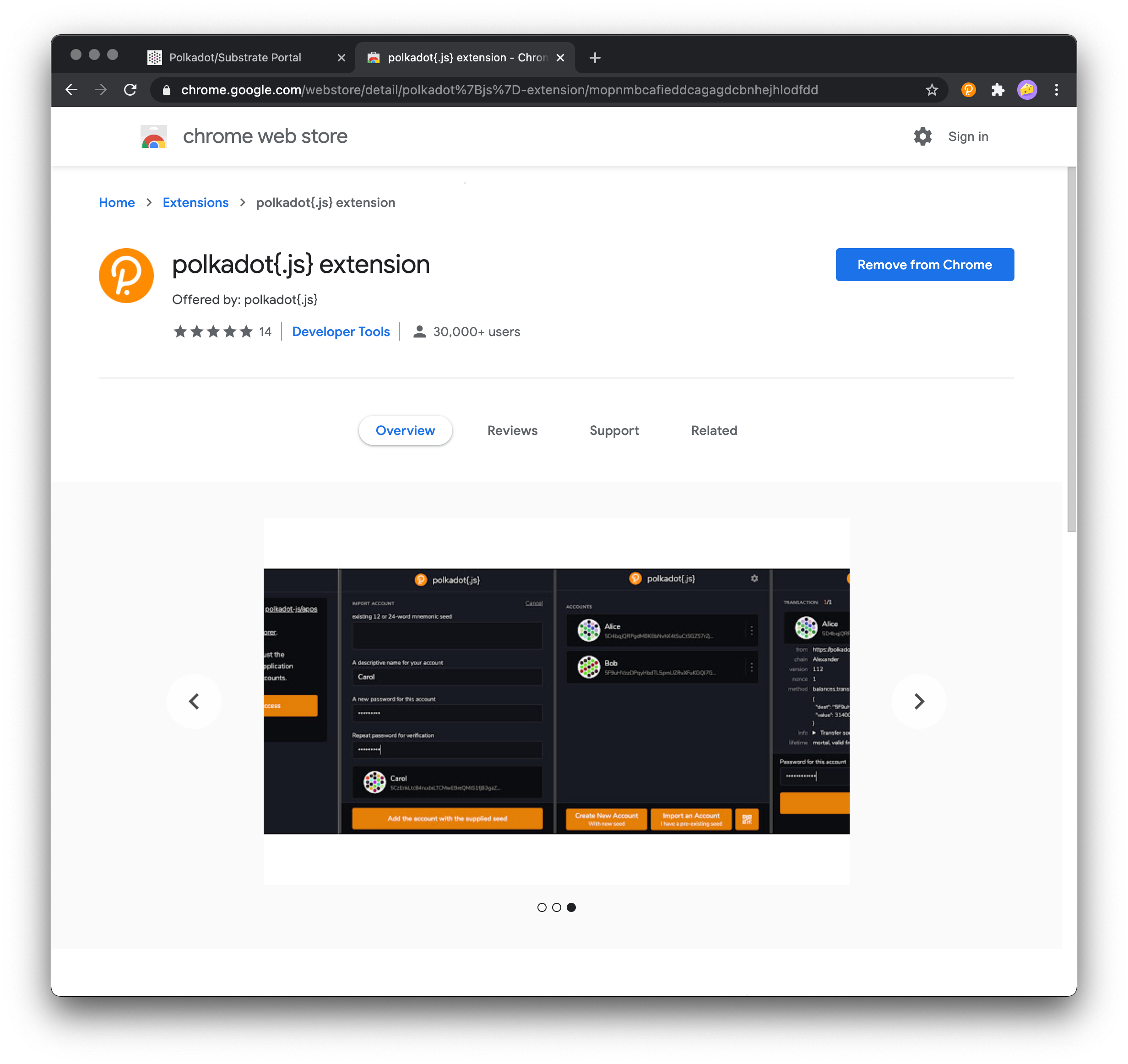 Install Polkadot Chrome Extension
